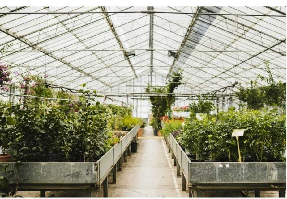 Wie ein Gartencenter Ihnen hilft, den perfekten Garten zu gestalten