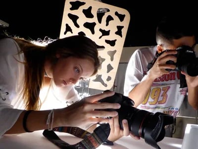 Fotokurs Hamburg: Professionell fotografieren ohne Vorwissen