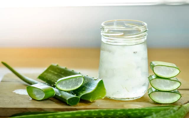 Die Kraft von Aloe Vera Gel Gelly entdecken: Tipps für den unabhängigen Distributor von Forever Living Products
