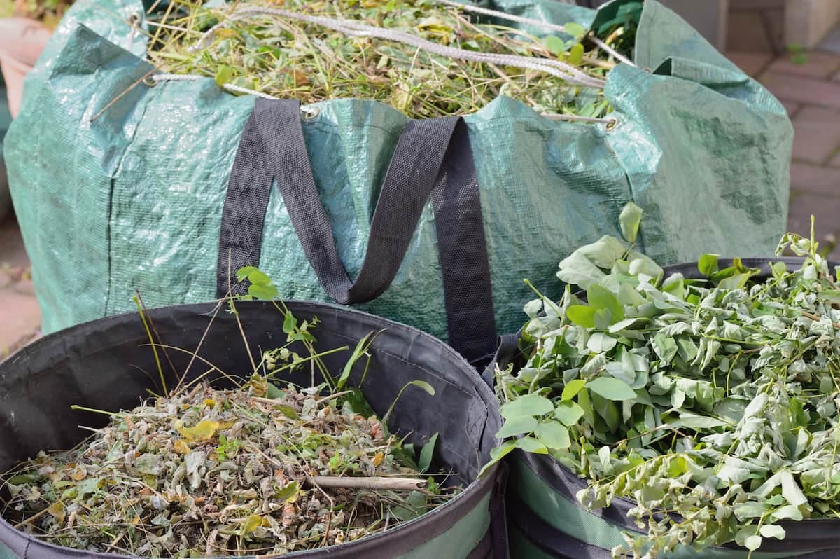 Gartenabfall Container mieten: So entsorgen Sie Ihre Gartenabfälle richtig